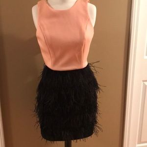Peach and black beautiful feather dress